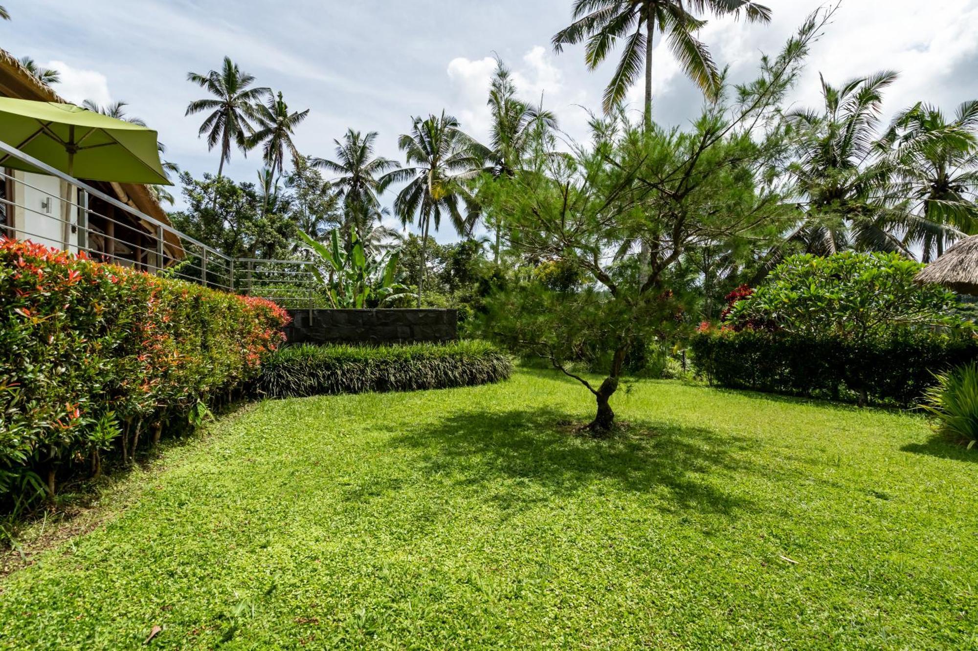 Villa Themma Jungle - Sumptuous 3Br Luxury Villa With Majestic Jungle View North Of Ubud Экстерьер фото