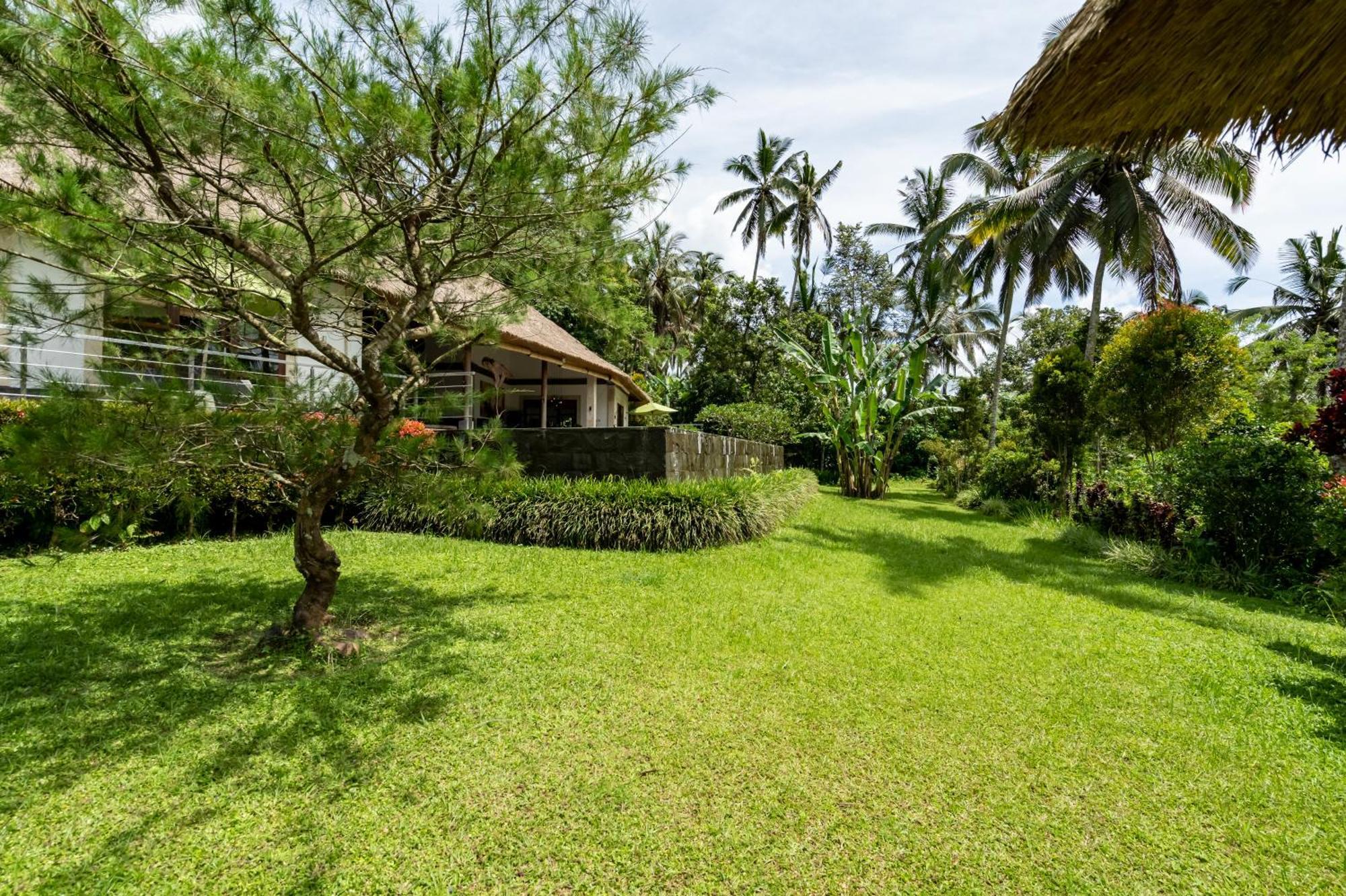 Villa Themma Jungle - Sumptuous 3Br Luxury Villa With Majestic Jungle View North Of Ubud Экстерьер фото