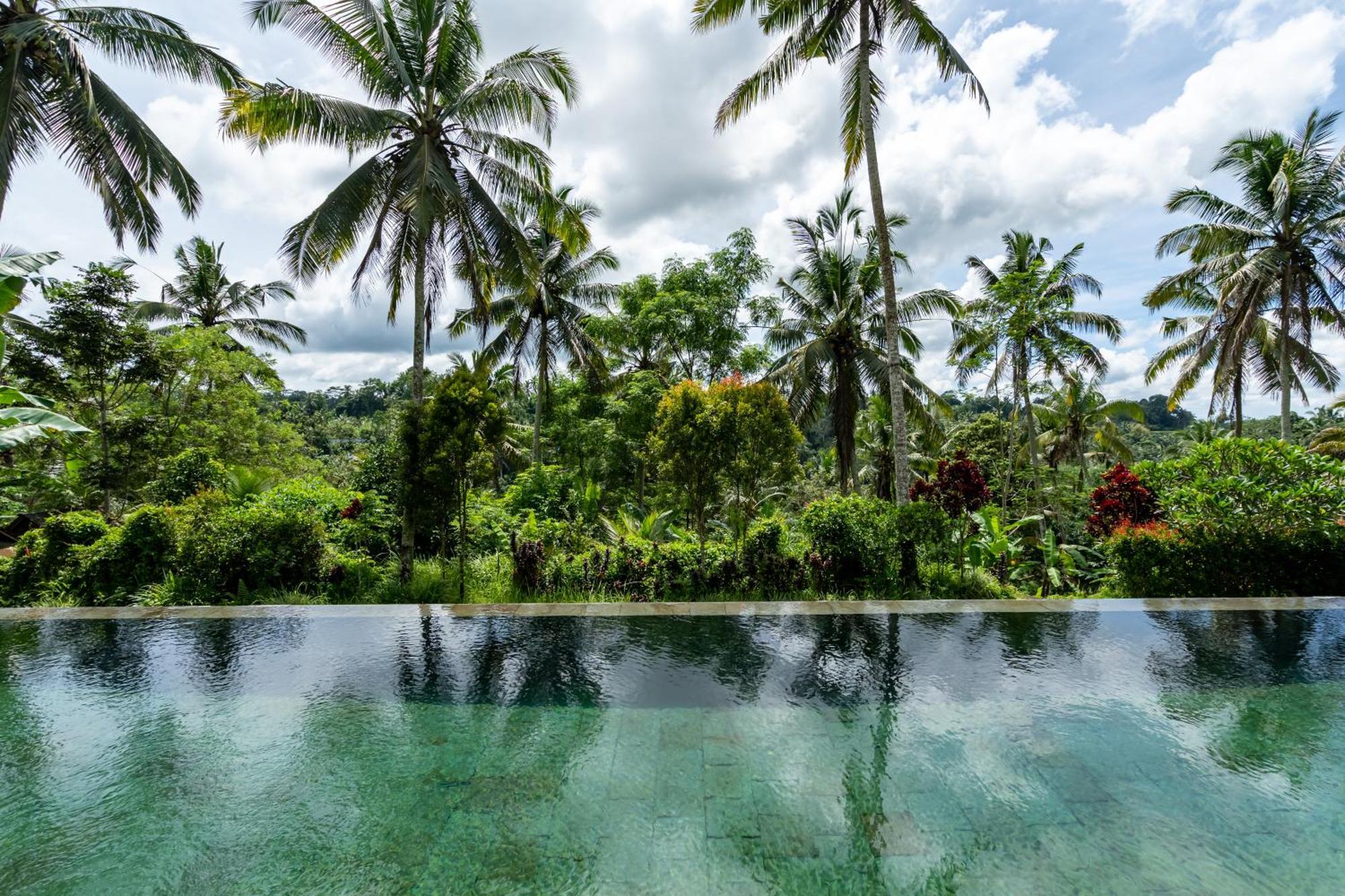 Villa Themma Jungle - Sumptuous 3Br Luxury Villa With Majestic Jungle View North Of Ubud Экстерьер фото